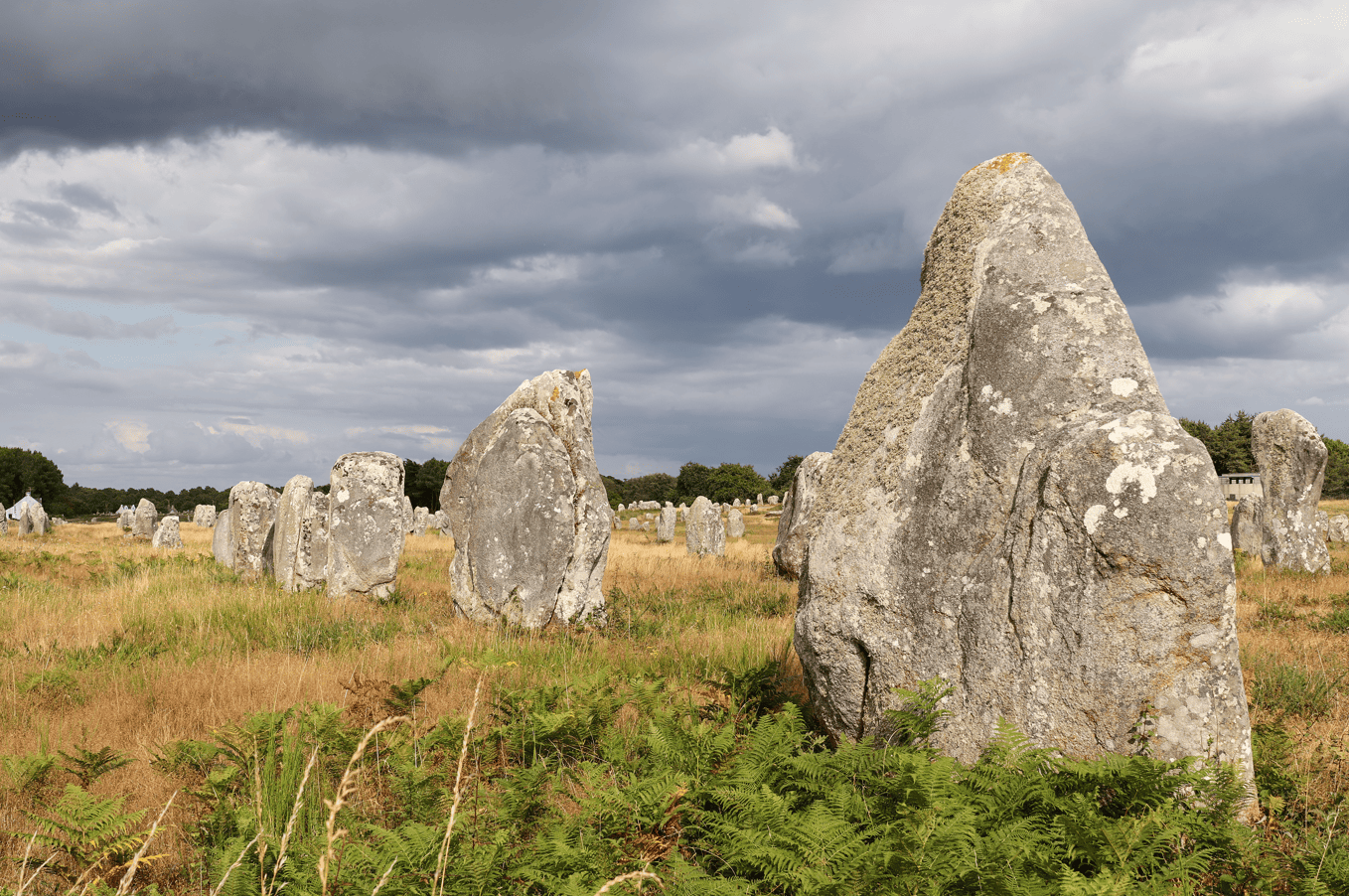 Photo des alignements de Carnac 
