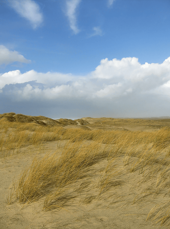 Photo des dunes de Keremma Bretagne. paysage cote bretonne 